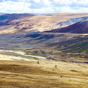Western Mongolia Bike Tour 2026 - picture 6